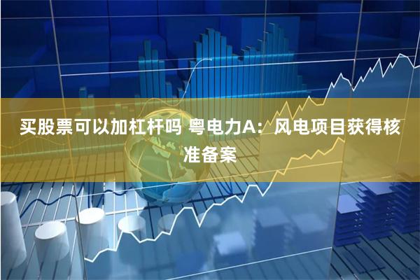 买股票可以加杠杆吗 粤电力A：风电项目获得核准备案