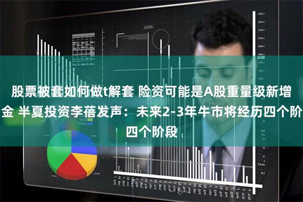 股票被套如何做t解套 险资可能是A股重量级新增资金 半夏投资李蓓发声：未来2-3年牛市将经历四个阶段