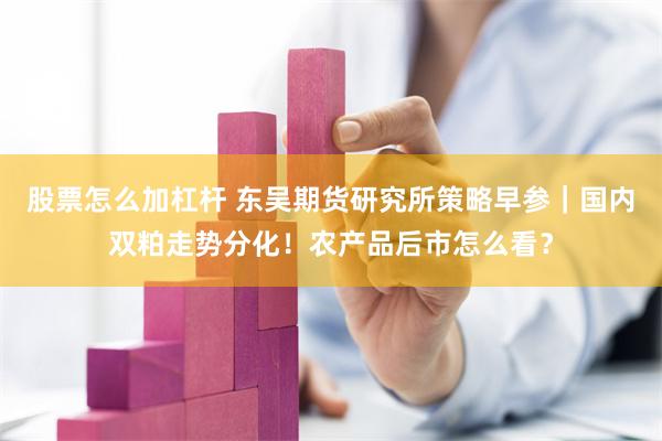 股票怎么加杠杆 东吴期货研究所策略早参｜国内双粕走势分化！农产品后市怎么看？
