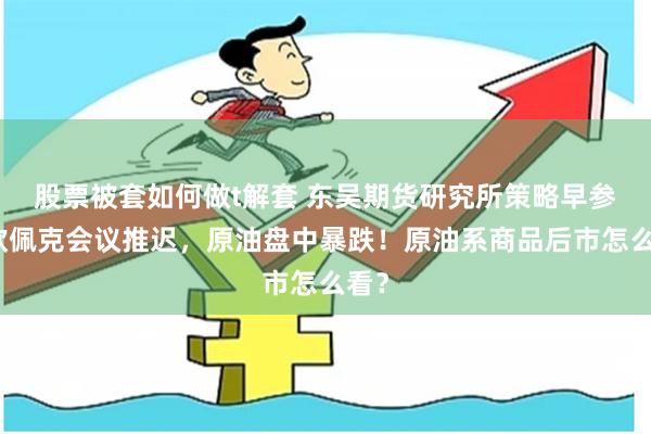 股票被套如何做t解套 东吴期货研究所策略早参｜欧佩克会议推迟，原油盘中暴跌！原油系商品后市怎么看？