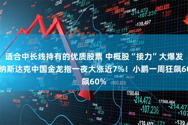 适合中长线持有的优质股票 中概股“接力”大爆发！纳斯达克中国金龙指一夜大涨近7%！小鹏一周狂飙60%