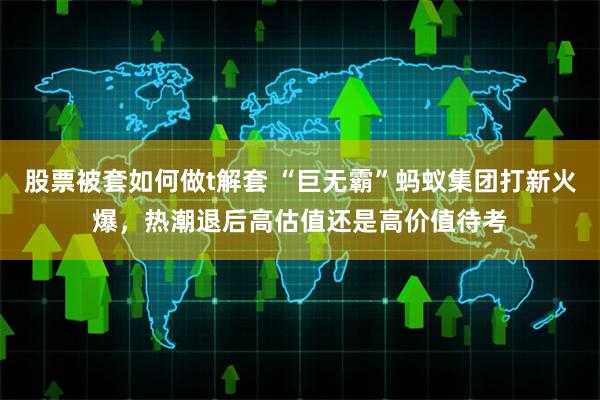 股票被套如何做t解套 “巨无霸”蚂蚁集团打新火爆，热潮退后高估值还是高价值待考