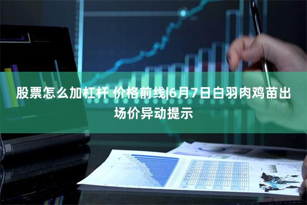 股票怎么加杠杆 价格前线|6月7日白羽肉鸡苗出场价异动提示