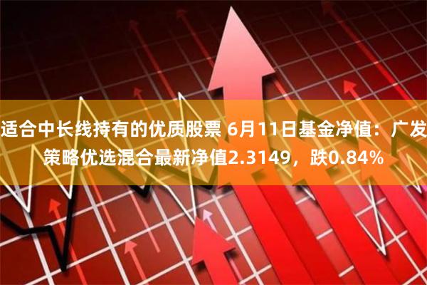 适合中长线持有的优质股票 6月11日基金净值：广发策略优选混合最新净值2.3149，跌0.84%