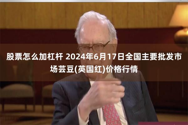 股票怎么加杠杆 2024年6月17日全国主要批发市场芸豆(英国红)价格行情