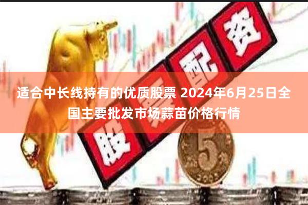 适合中长线持有的优质股票 2024年6月25日全国主要批发市场蒜苗价格行情