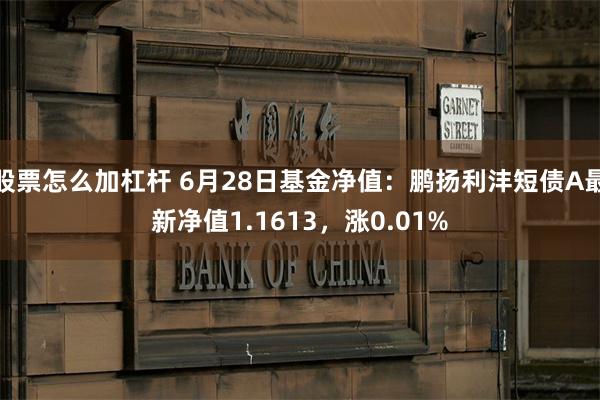 股票怎么加杠杆 6月28日基金净值：鹏扬利沣短债A最新净值1.1613，涨0.01%