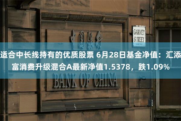 适合中长线持有的优质股票 6月28日基金净值：汇添富消费升级混合A最新净值1.5378，跌1.09%