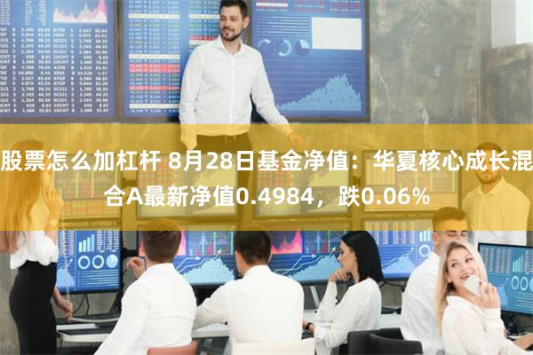 股票怎么加杠杆 8月28日基金净值：华夏核心成长混合A最新净值0.4984，跌0.06%