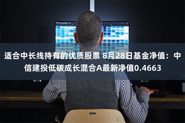 适合中长线持有的优质股票 8月28日基金净值：中信建投低碳成长混合A最新净值0.4663