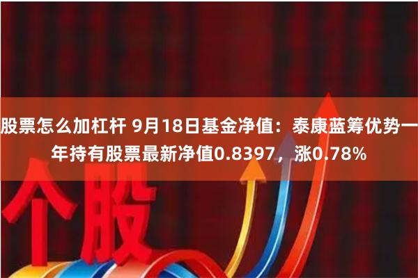 股票怎么加杠杆 9月18日基金净值：泰康蓝筹优势一年持有股票最新净值0.8397，涨0.78%