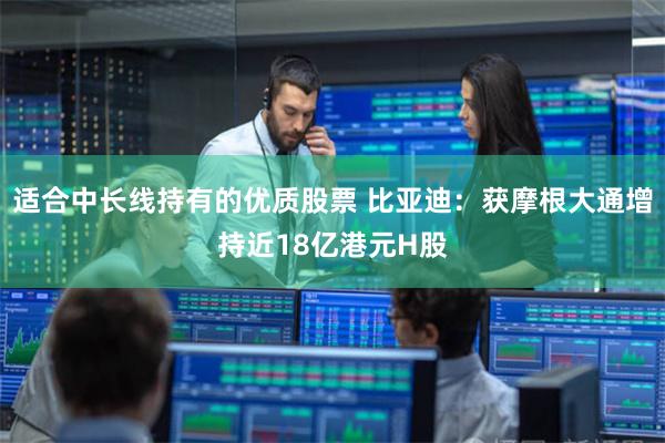 适合中长线持有的优质股票 比亚迪：获摩根大通增持近18亿港元H股