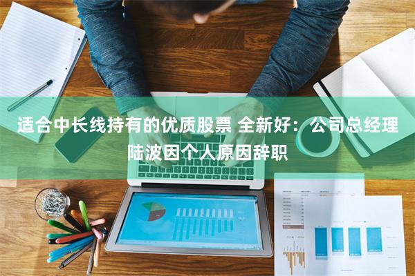 适合中长线持有的优质股票 全新好：公司总经理陆波因个人原因辞职