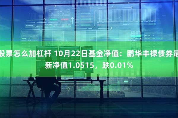 股票怎么加杠杆 10月22日基金净值：鹏华丰禄债券最新净值1.0515，跌0.01%