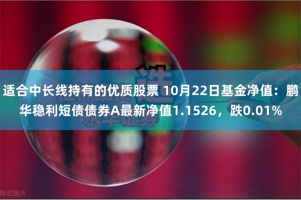 适合中长线持有的优质股票 10月22日基金净值：鹏华稳利短债债券A最新净值1.1526，跌0.01%