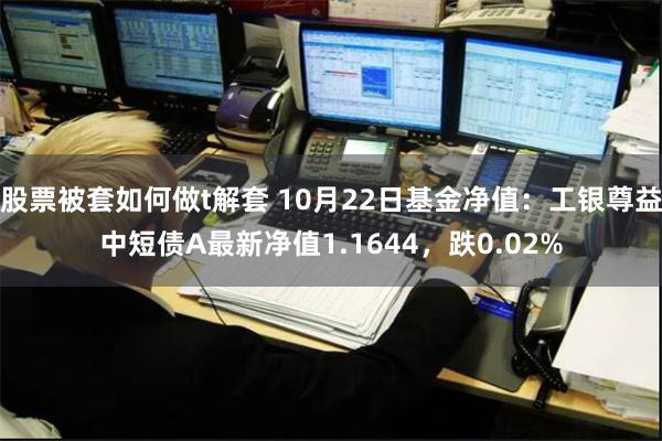 股票被套如何做t解套 10月22日基金净值：工银尊益中短债A最新净值1.1644，跌0.02%