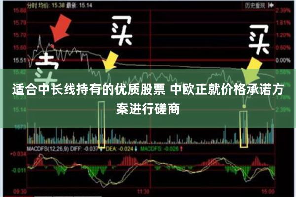 适合中长线持有的优质股票 中欧正就价格承诺方案进行磋商