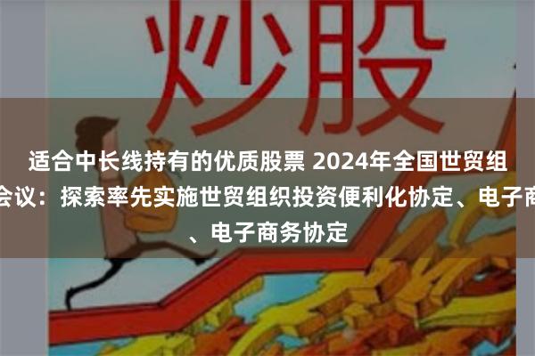适合中长线持有的优质股票 2024年全国世贸组织工作会议：探索率先实施世贸组织投资便利化协定、电子商务协定