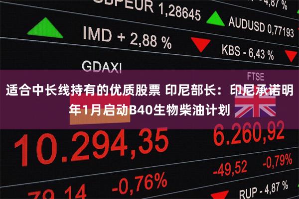 适合中长线持有的优质股票 印尼部长：印尼承诺明年1月启动B40生物柴油计划