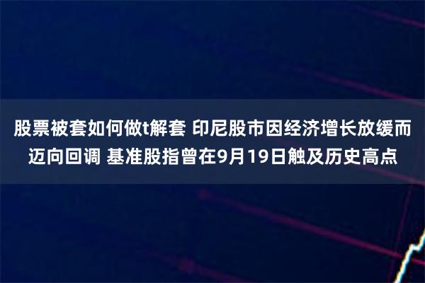 股票被套如何做t解套 印尼股市因经济增长放缓而迈向回调 基准股指曾在9月19日触及历史高点