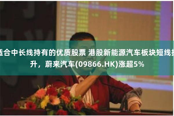 适合中长线持有的优质股票 港股新能源汽车板块短线拉升，蔚来汽车(09866.HK)涨超5%
