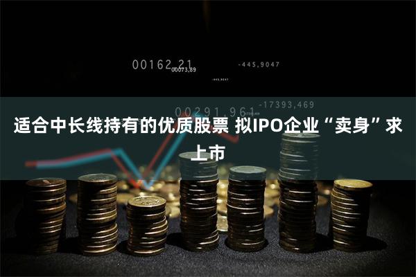 适合中长线持有的优质股票 拟IPO企业“卖身”求上市