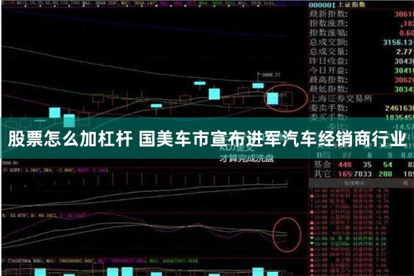股票怎么加杠杆 国美车市宣布进军汽车经销商行业