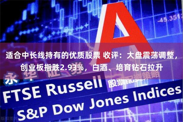 适合中长线持有的优质股票 收评：大盘震荡调整，创业板指跌2.93%，白酒、培育钻石拉升