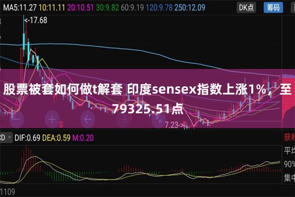 股票被套如何做t解套 印度sensex指数上涨1%，至79325.51点