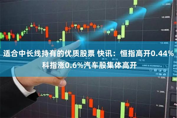 适合中长线持有的优质股票 快讯：恒指高开0.44% 科指涨0.6%汽车股集体高开