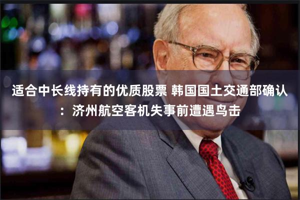 适合中长线持有的优质股票 韩国国土交通部确认：济州航空客机失事前遭遇鸟击