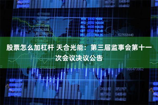 股票怎么加杠杆 天合光能：第三届监事会第十一次会议决议公告