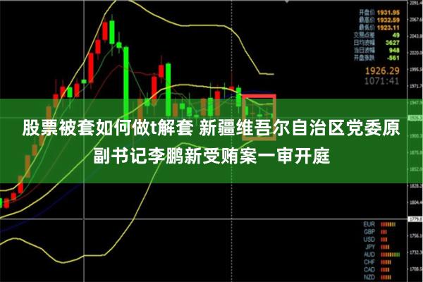 股票被套如何做t解套 新疆维吾尔自治区党委原副书记李鹏新受贿案一审开庭