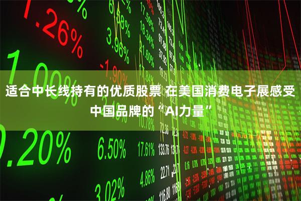 适合中长线持有的优质股票 在美国消费电子展感受中国品牌的“AI力量”