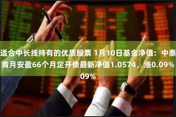 适合中长线持有的优质股票 1月10日基金净值：中泰青月安盈66个月定开债最新净值1.0574，涨0.09%