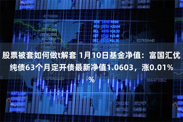 股票被套如何做t解套 1月10日基金净值：富国汇优纯债63个月定开债最新净值1.0603，涨0.01%