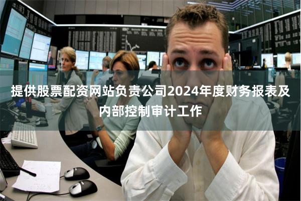 提供股票配资网站负责公司2024年度财务报表及内部控制审计工作